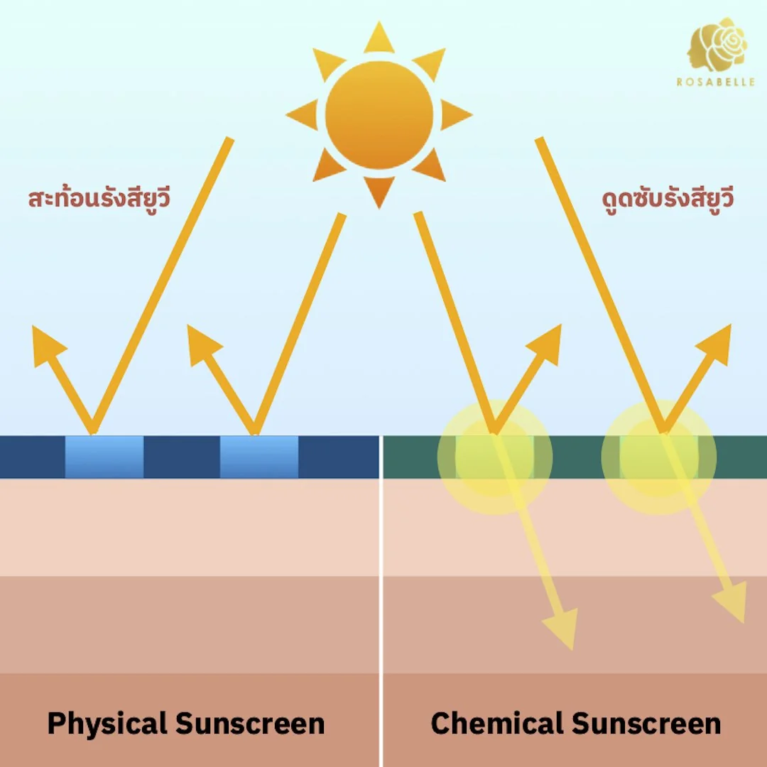 ภาพประกอบบทความ ทำไมเราต้องหลีกเลี่ยงแสงแดด? ☀️